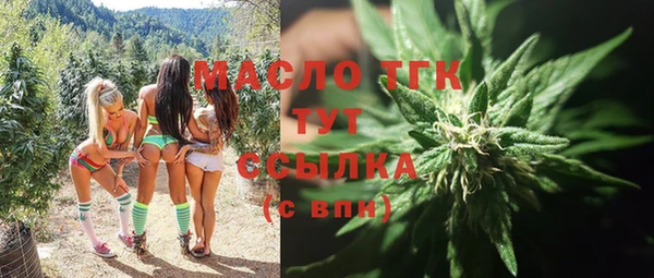 крисы Коряжма