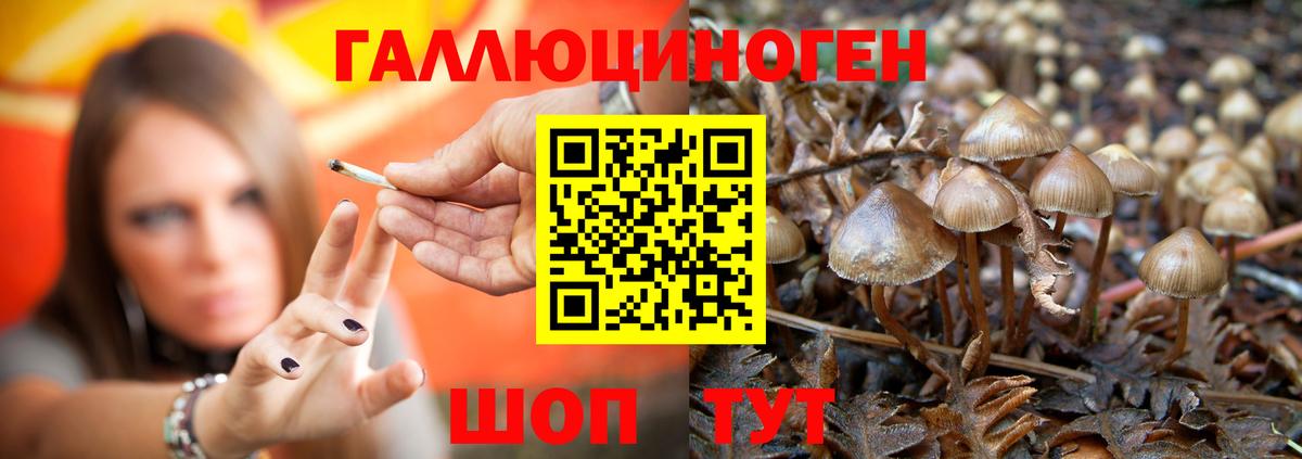 Псилоцибиновые грибы мицелий  Вход с VPN  Сызрань 